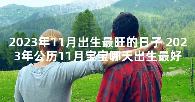 2023年11月出生最旺的日子 2023年公历11月宝宝哪天出生最好